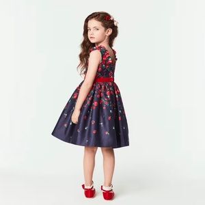 American Girl x Janie and Jack Wrapped in Roses Party Dress